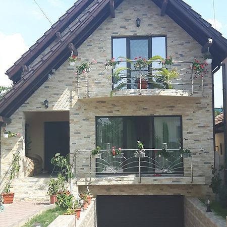 Călimăneşti Vila Alexia酒店 外观 照片