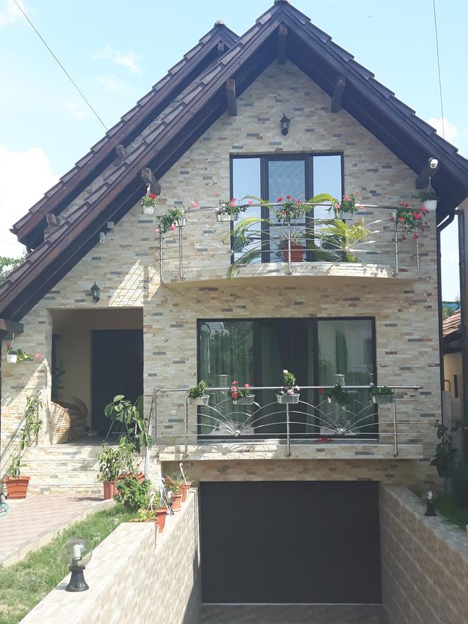 Călimăneşti Vila Alexia酒店 外观 照片