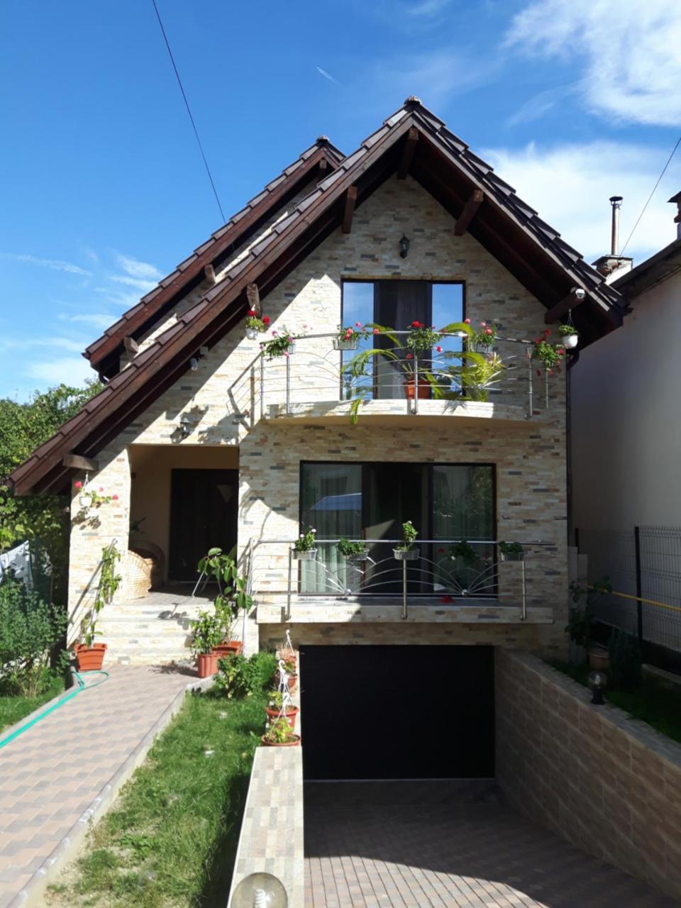 Călimăneşti Vila Alexia酒店 外观 照片