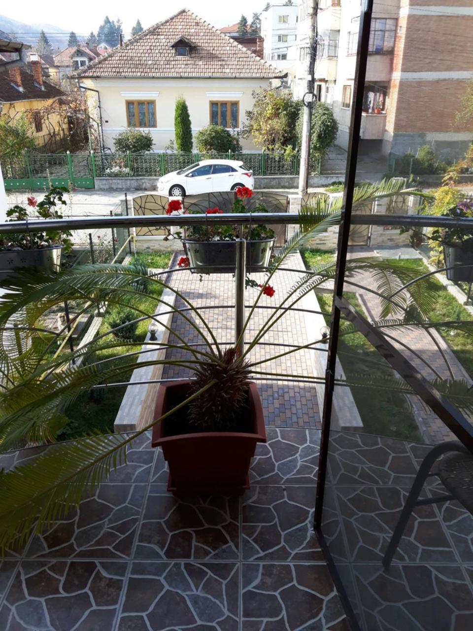 Călimăneşti Vila Alexia酒店 外观 照片