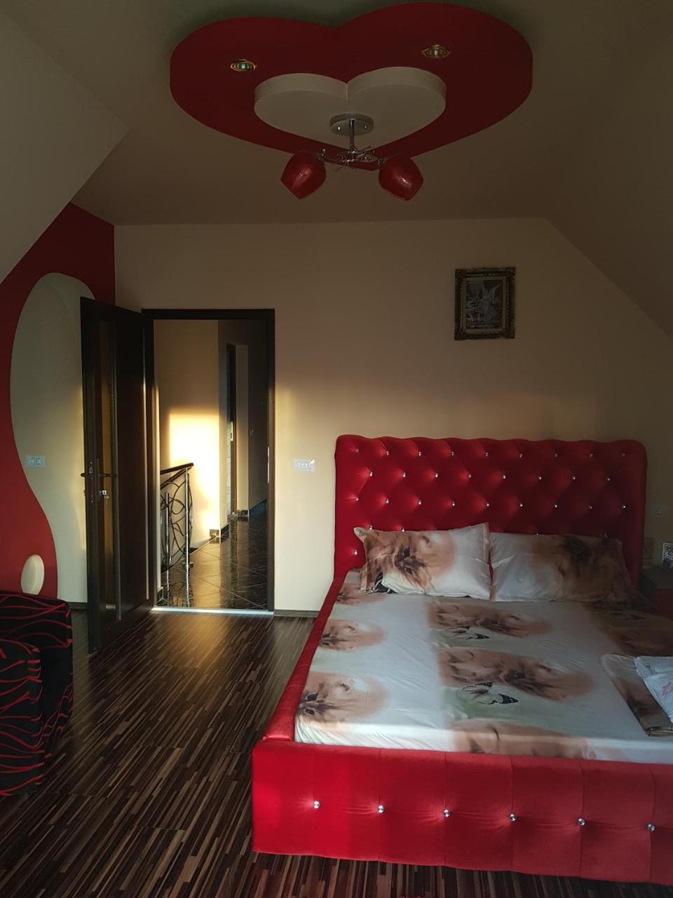 Călimăneşti Vila Alexia酒店 外观 照片