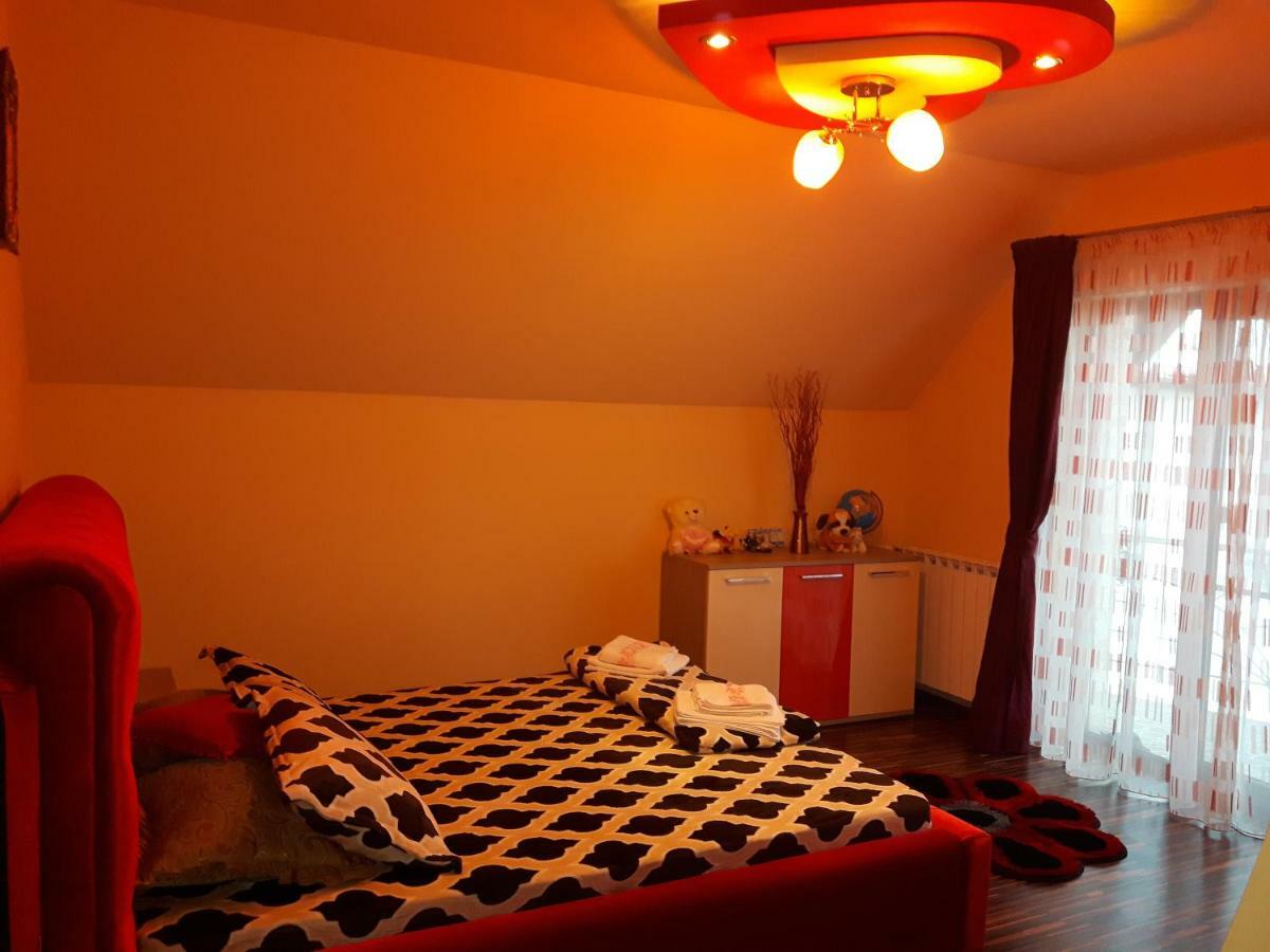 Călimăneşti Vila Alexia酒店 外观 照片